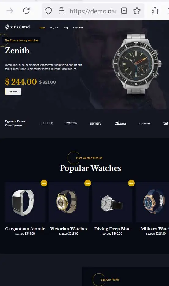 Contoh Web Landing Page